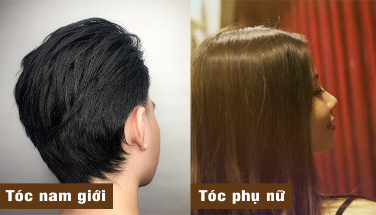 Sự khác biệt giữa tóc của nam và nữ giới