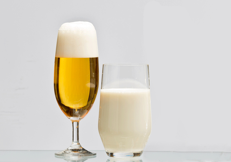 cách trị gàu bằng bia và sữa tươi