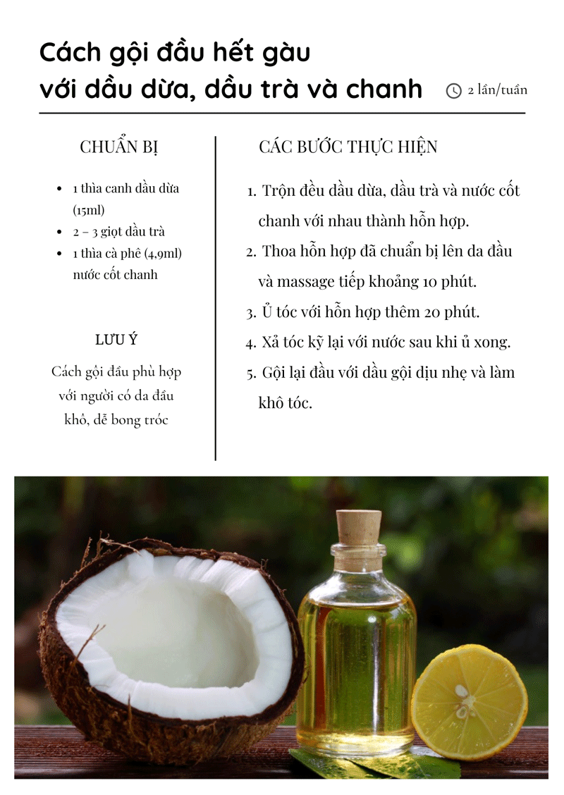 hướng dẫn gội đầu hết gàu với dầu dừa, dầu oliu và chanh