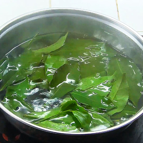 nấu nước trà xanh